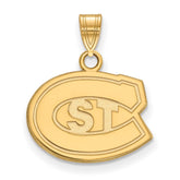 10k Gold LogoArt St. Cloud State University Small Pendant