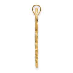 14k Gold LogoArt Tulane University Extra Large Pendant