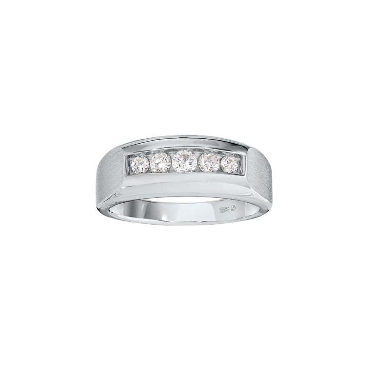 Men's White Gold 1/2ct tw Diamond Band with Soft Satin Finished Mounting