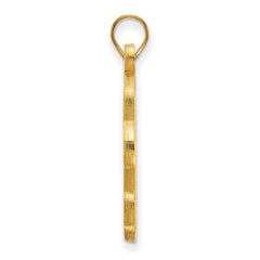 14k Gold LogoArt University of Pittsburgh Extra Large Pendant