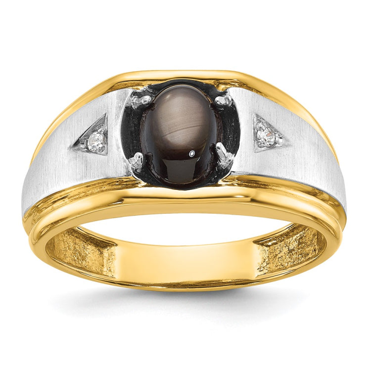 Men's TT Ring with Soft Satin Finish Accent Mounting