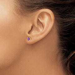 14k 5mm Round Amethyst Post Earrings