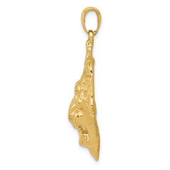14k Lion Head Charm