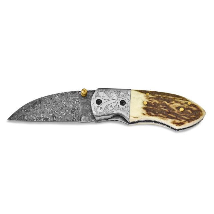 Luxury Giftware Damascus Steel 256 Layer Folding Blade Steel Guard Staghorn Handle Knife with Leather Sheath and Wooden Gift Box
