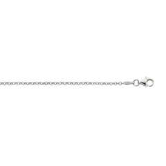 Silver 2mm Rolo 20 Chain with Lobster Lock
