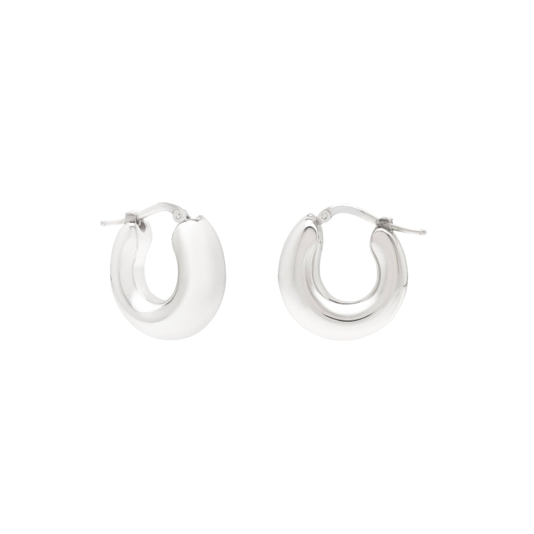 Sterling Silver Polished Small Graduated Hoop Earring with Hinged Clasp